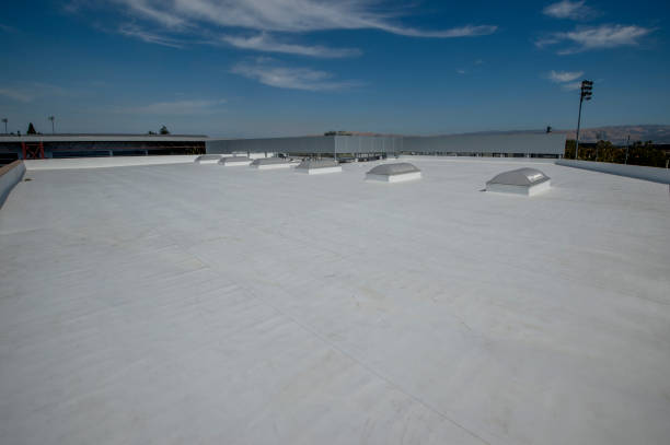 Best Roof Maintenance and Cleaning  in Carrollton, KY